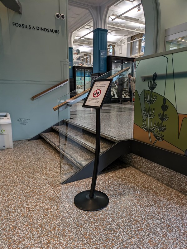 Image of steps to the dinosaur exhibit. there is a ramp nearby