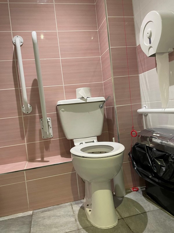 Image of an accessible toilet