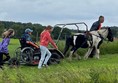 A person in a wheelchair pushing a horse