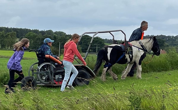 A person in a wheelchair pushing a horse