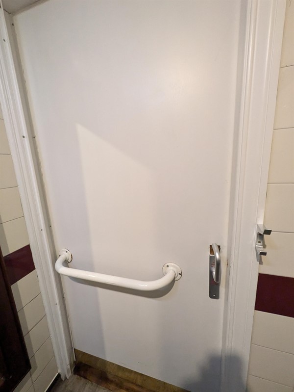 Image of grab rail on toilet door