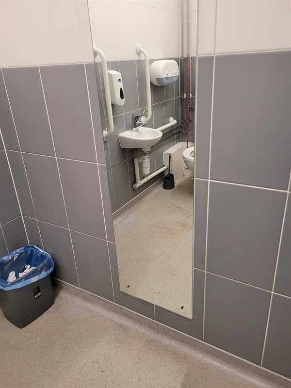 Image of a sink with grab rails reflected in a mirror