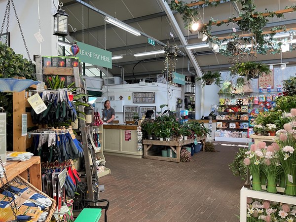 Image of a store with plants and flowers