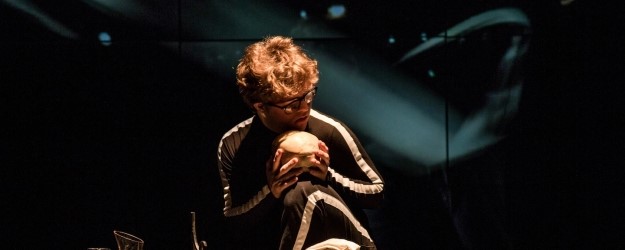 Hamlet article image