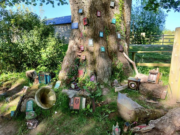 The fairy village in the Forrest