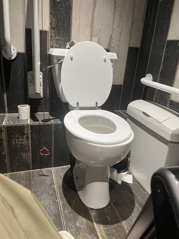 Image of an accessible toilet