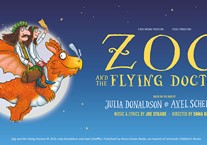 Zog and the Flying Doctors