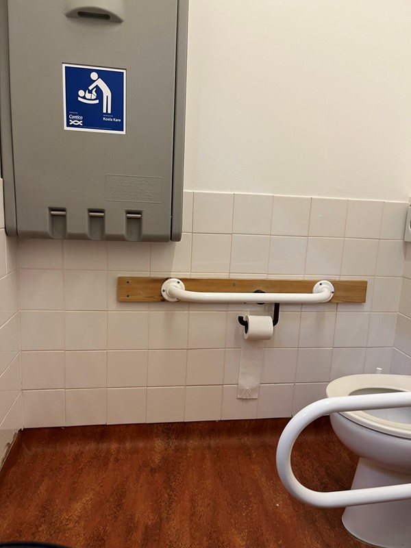 Accessible toilet