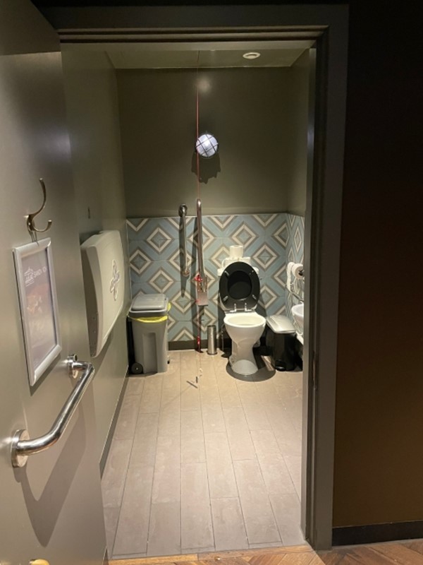 Image of an accessible toilet