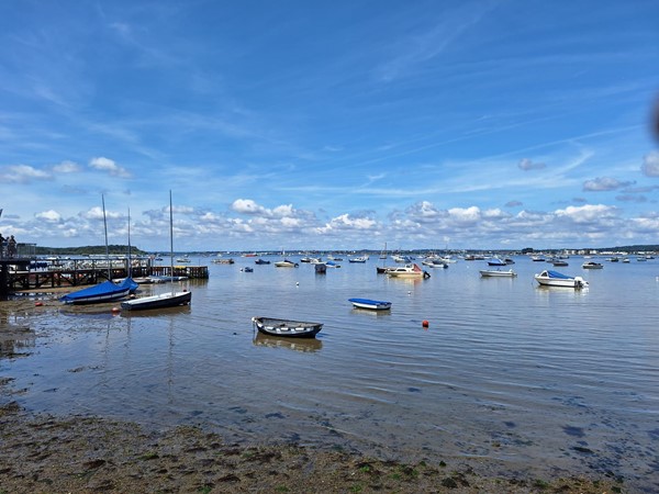 Image of boats in a harbor with boats