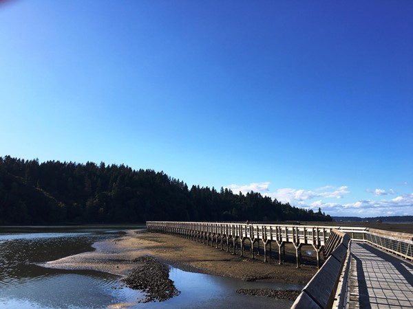 Picure of Billy Frank Jr. Nisqually Wildlife Refuge