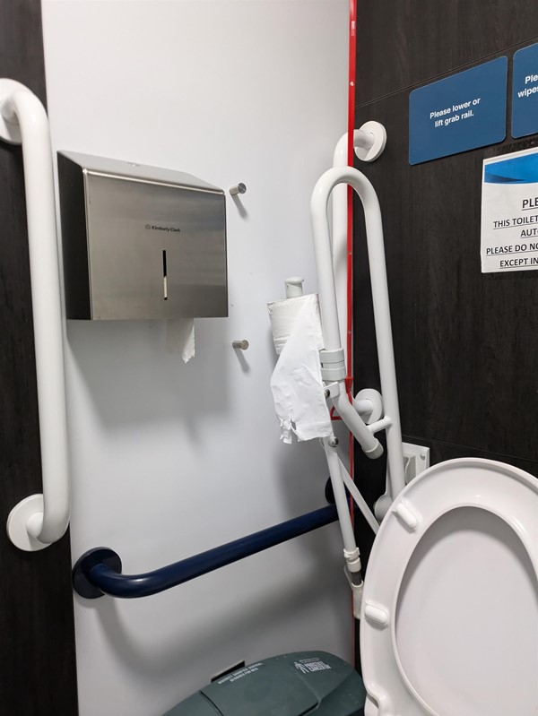 Image of grab rail and toilet roll dispenser