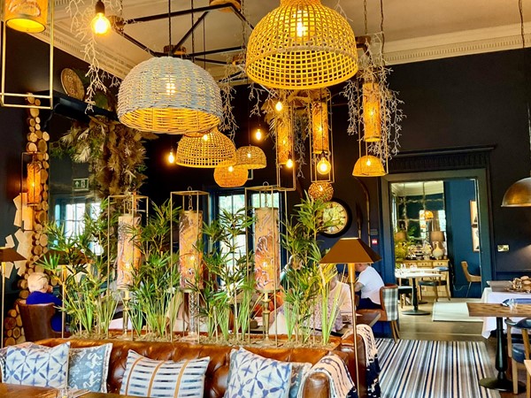 Image of a room with a couch and a table with plants