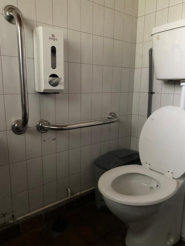 Image of a toilet with grabrails