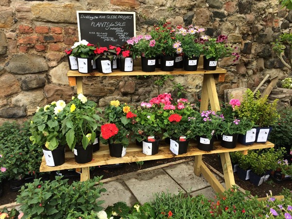 Plants for sale outside the tea room.