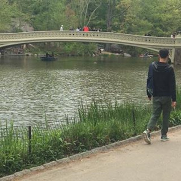 Picture of Central Park, New York