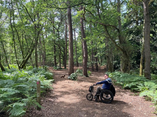 Wheelchair user in a wood