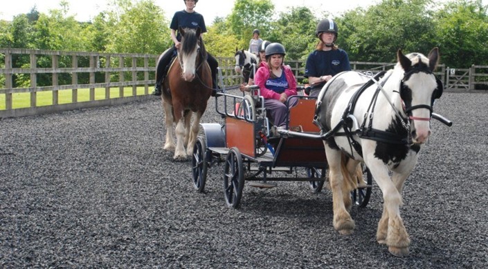 Disabled Access Day at Calvert Trust