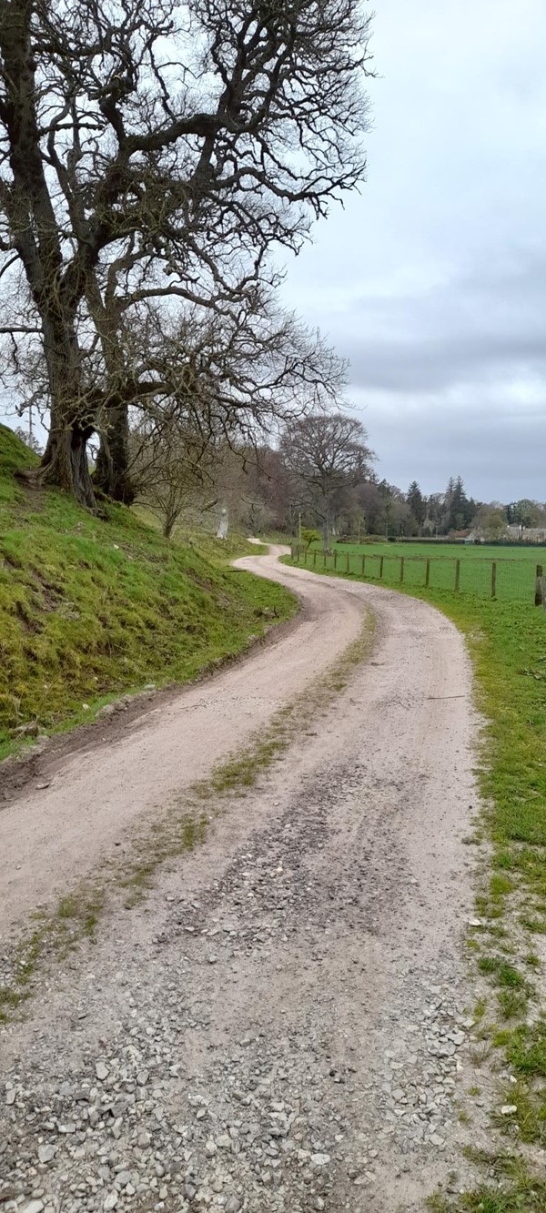 Picture of Reeds Path Loop