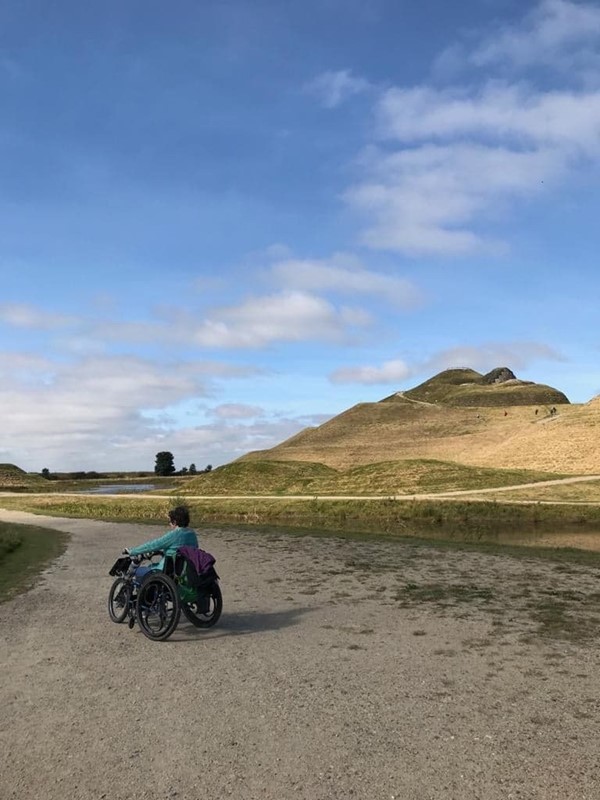 Picture of Northumberlandia