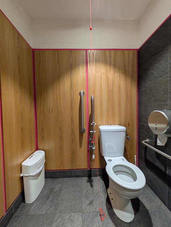 Image of an accessible toilet and a red cord