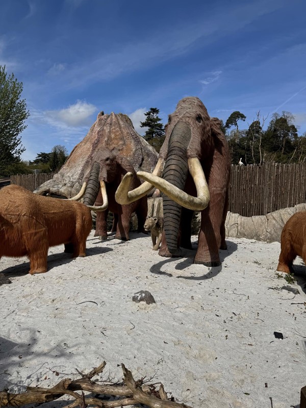 Image of mammoths