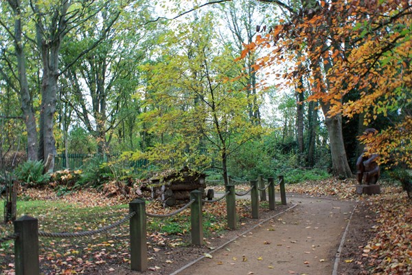 Birch walk with slightly softer path but pretty flat and good surface.