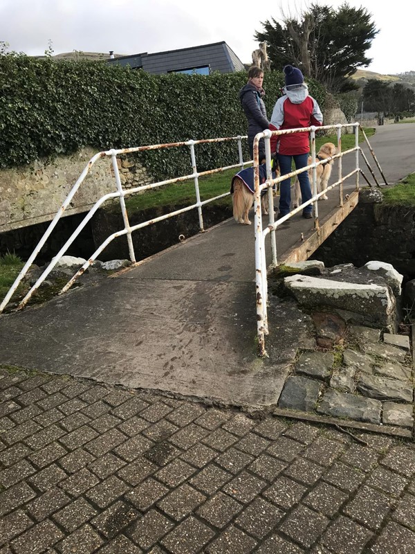 Footbridge leading to main path