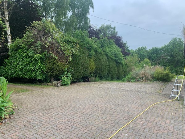 Paved area next to some bushes with a ladder and some yellow tubing.