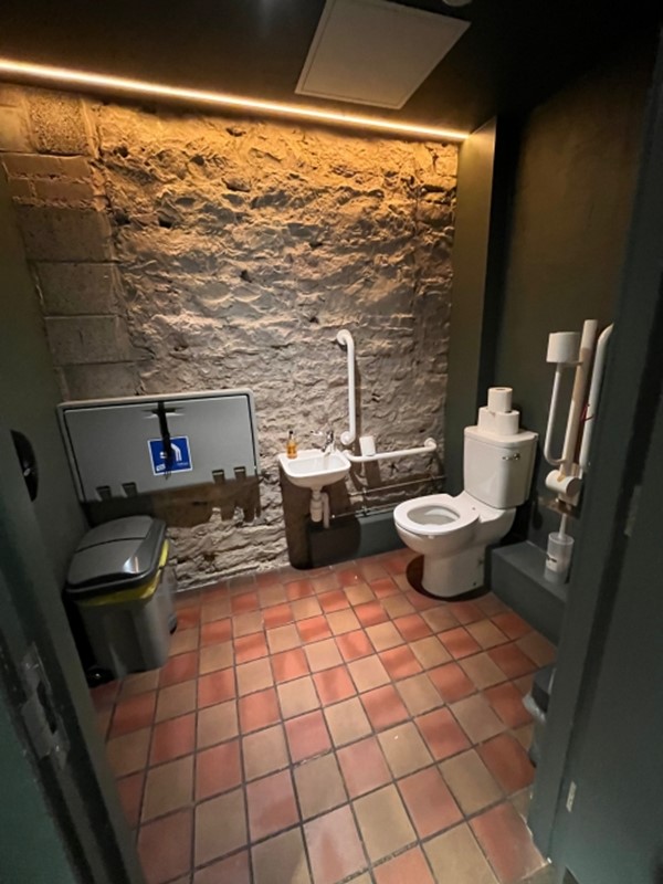 Image of an accessible toilet