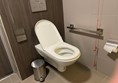 Image of a toilet and a red cord card