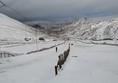 Glenshee Ski Centre