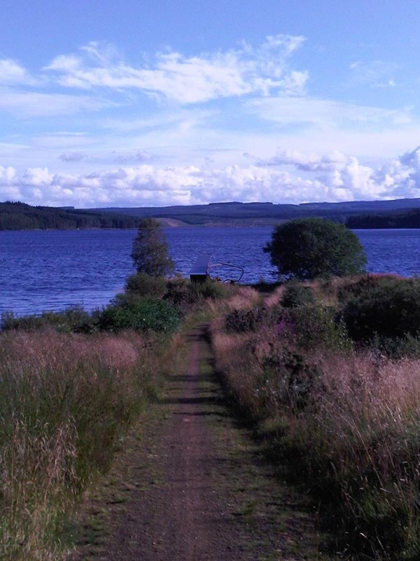 Picture of Lakeside Way - Some paths down to sculptures are less smooth but still not bad.