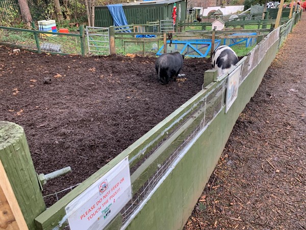 Gorgie City Farm