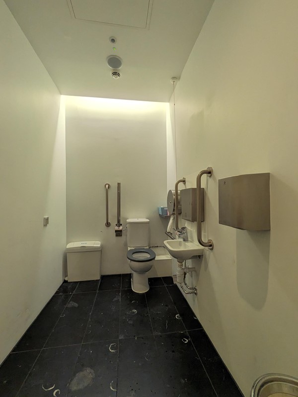 Image of the accessible toilet, a mirror is on the left wall, the sink, paper towel dispenser, soap and hand dryer are on the right, and the toilet is at the back of the wall.