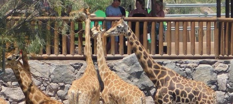 Oasis Park Fuerteventura