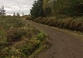 Picture of Kielder Water and Forest Park