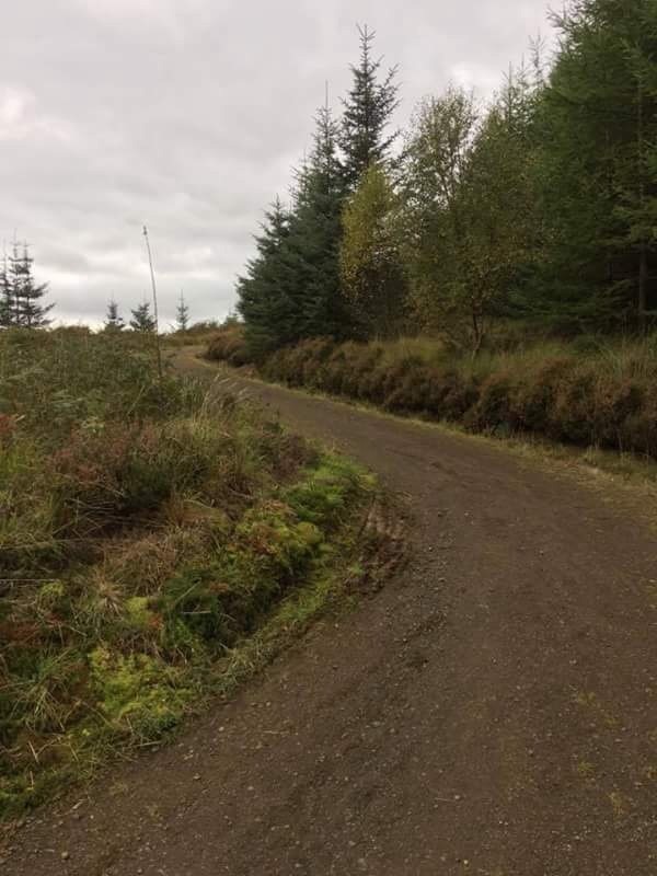 Picture of Kielder Water and Forest Park