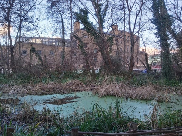 Camley Street Natural Park