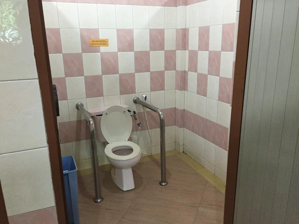 The accessible loo