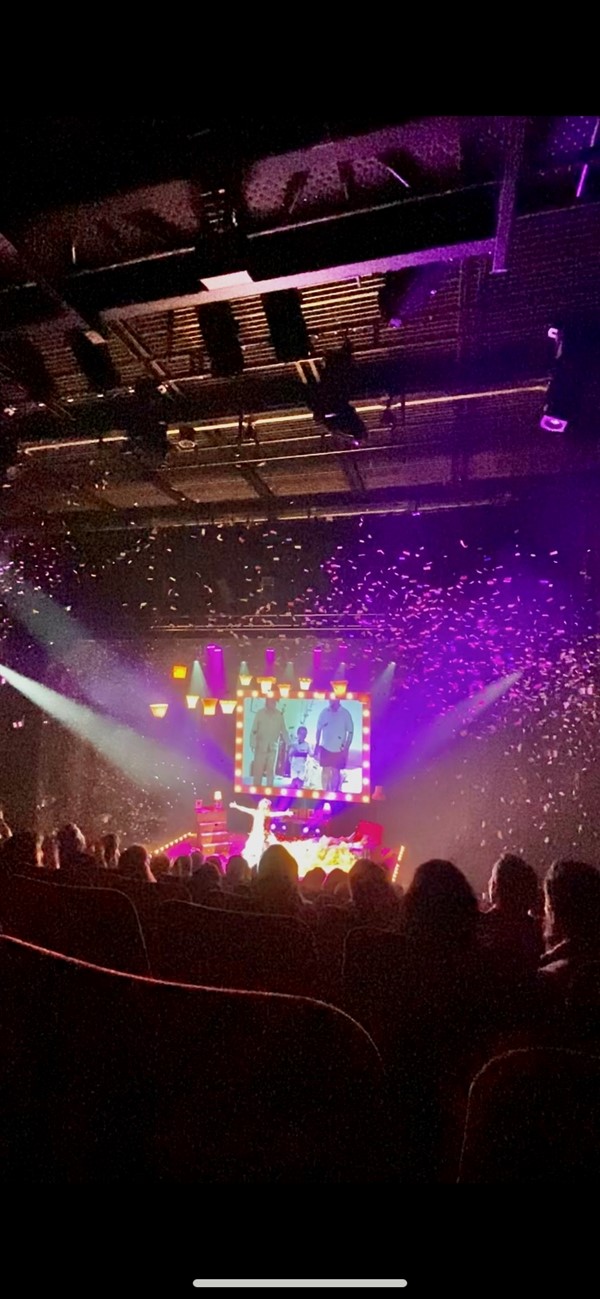 Image of an audience watching a stage show