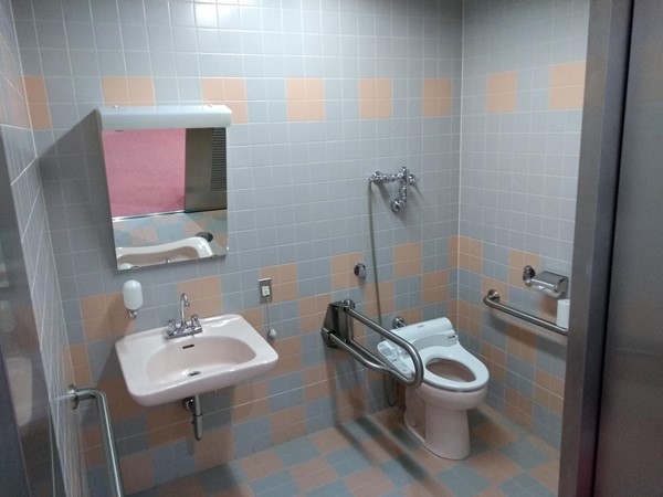 View of the accessible toilet.