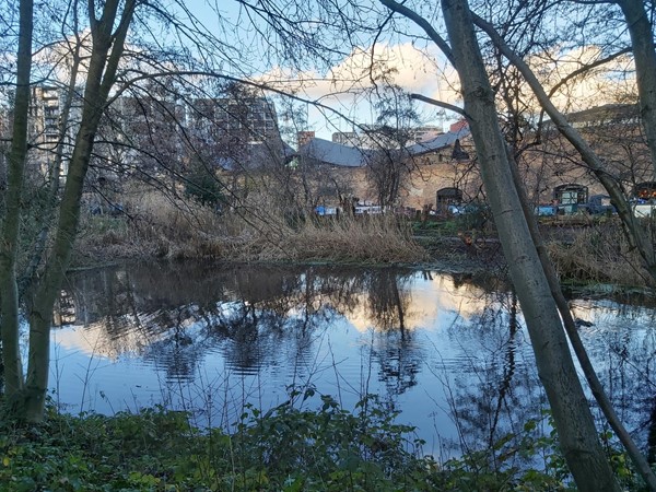 Camley Street Natural Park