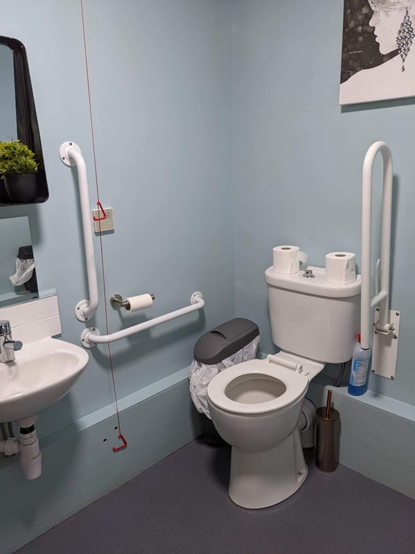 Picture of the accessible toilet