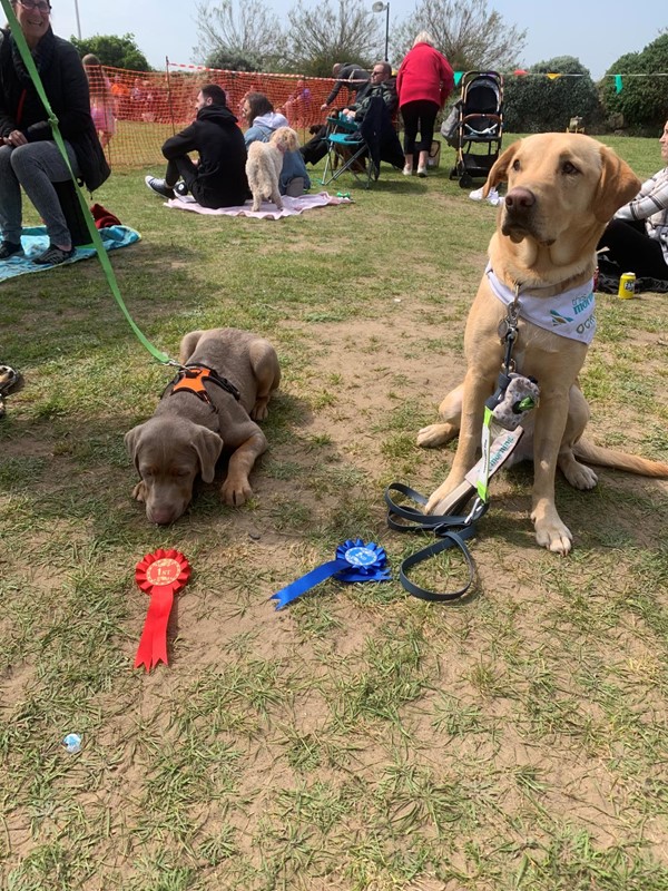 Picture of Weston Rotary Dog Day