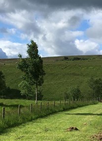 Brown Rigg Lodges