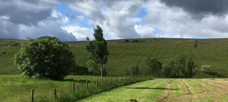 Brown Rigg Lodges