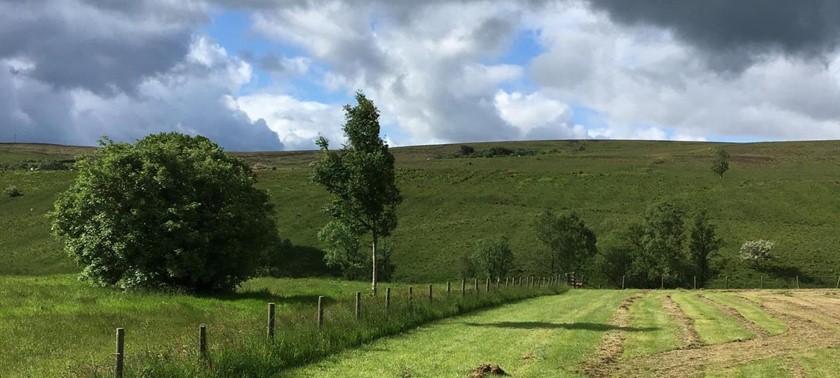 Brown Rigg Lodges