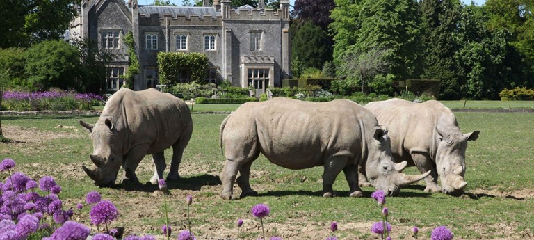 Cotswold Wildlife Park and Gardens