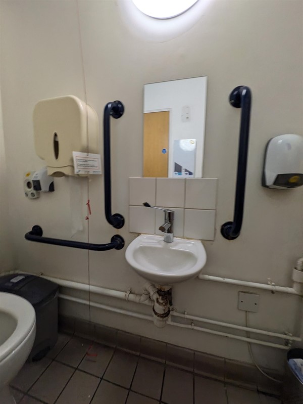 Image of sink in the accessible toilet